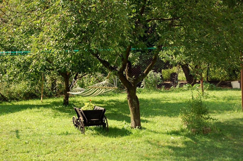 Kozi Farma U Nydrlu Villa Stara Cervena Voda Esterno foto