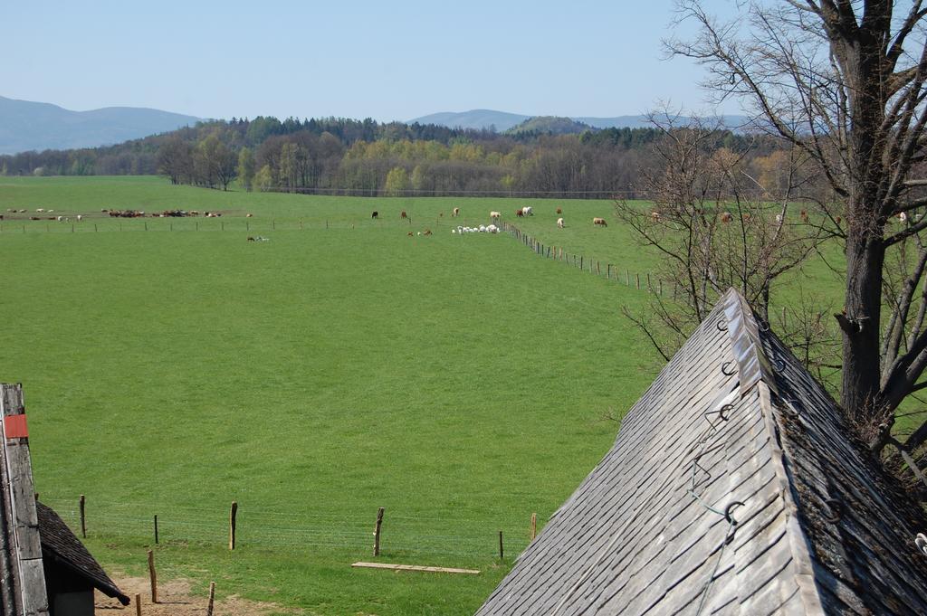 Kozi Farma U Nydrlu Villa Stara Cervena Voda Esterno foto