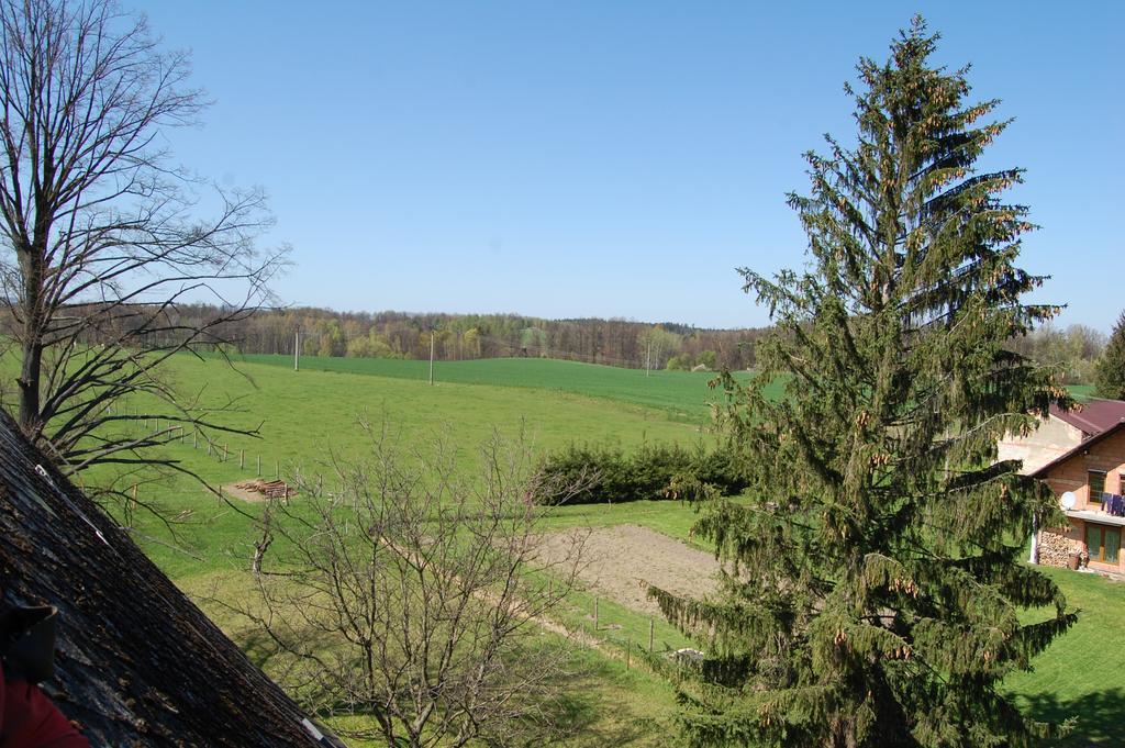 Villa Farma U Nydrlu Stara Cervena Voda Esterno foto